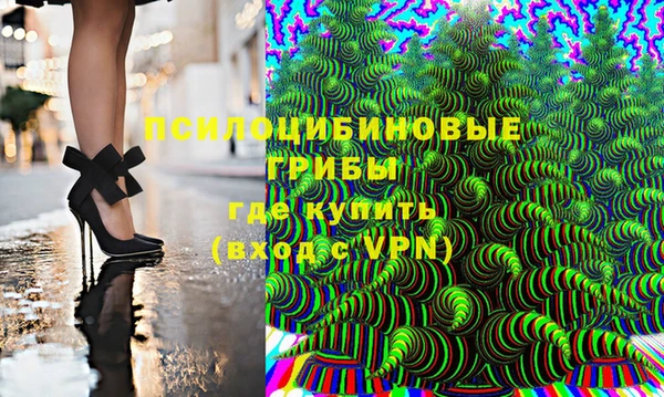 шишки Кукмор
