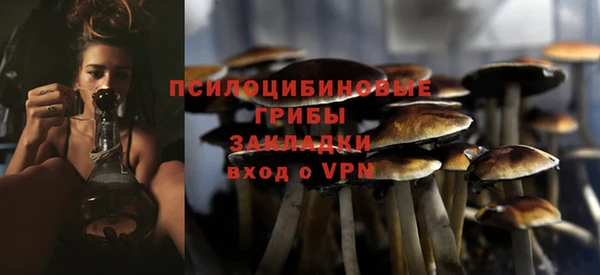 прущие грибы Кулебаки