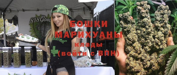 прущие грибы Кулебаки