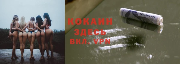 прущие грибы Кулебаки