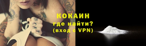 шишки Кукмор