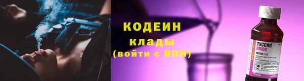 прущие грибы Кулебаки