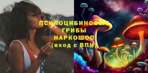шишки Кукмор