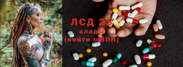 шишки Кукмор