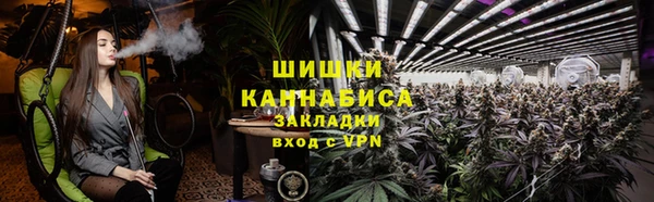 шишки Кукмор