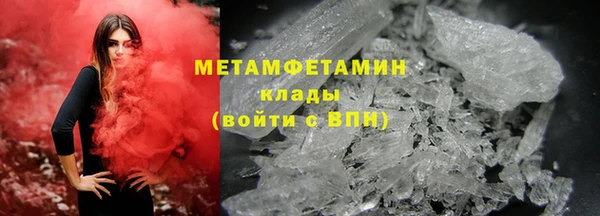 прущие грибы Кулебаки